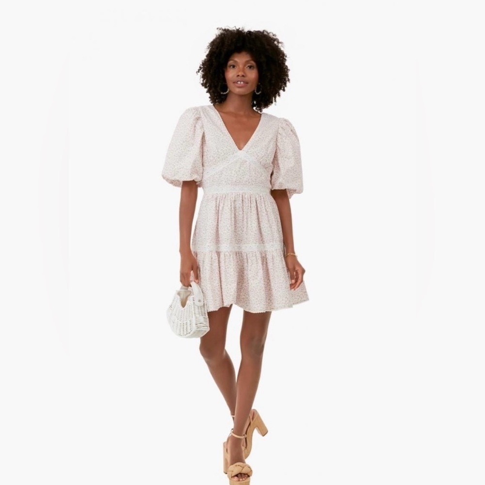 Tuckernuck Hyacinth House Pink Ditsy Floral Lace Isabelle Puff Sleeve Mini Dress